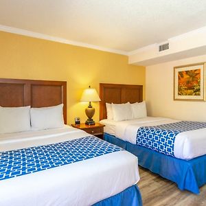 Suite Lit Queen-Size